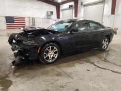Salvage cars for sale at Avon, MN auction: 2016 Dodge Charger SXT