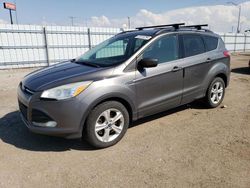 Hail Damaged Cars for sale at auction: 2013 Ford Escape SE