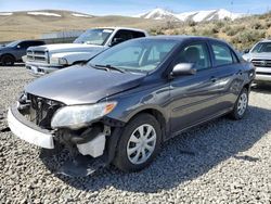 Salvage cars for sale at Reno, NV auction: 2010 Toyota Corolla Base