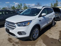 Salvage cars for sale at Bridgeton, MO auction: 2018 Ford Escape SE