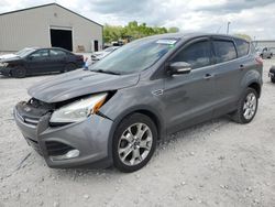 Ford Escape salvage cars for sale: 2013 Ford Escape SEL