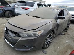 Salvage cars for sale at Martinez, CA auction: 2016 Nissan Maxima 3.5S