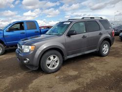 Salvage cars for sale at Brighton, CO auction: 2011 Ford Escape XLT