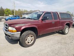 Dodge Vehiculos salvage en venta: 2003 Dodge Dakota SLT