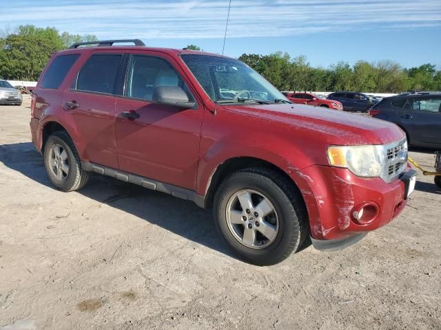 2009 Ford Escape XLT