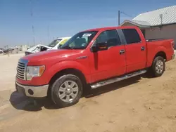 Salvage cars for sale at Andrews, TX auction: 2010 Ford F150 Supercrew