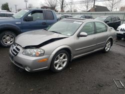 Salvage cars for sale at New Britain, CT auction: 2003 Nissan Maxima GLE