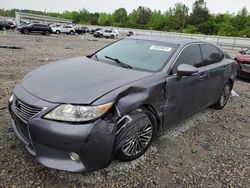 Salvage cars for sale at Memphis, TN auction: 2013 Lexus ES 350