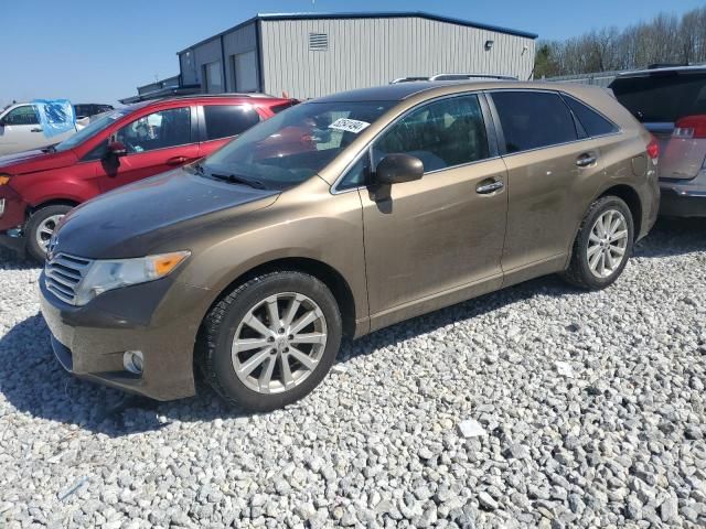 2010 Toyota Venza