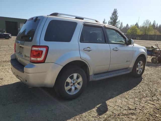 2010 Ford Escape Hybrid