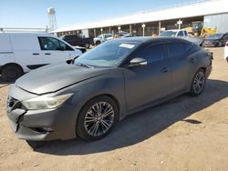 Salvage cars for sale at Phoenix, AZ auction: 2016 Nissan Maxima 3.5S