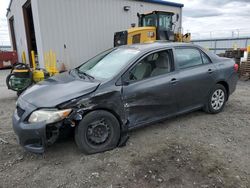 Toyota Corolla salvage cars for sale: 2010 Toyota Corolla Base