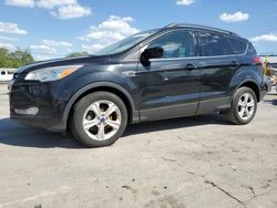 Salvage cars for sale at Lebanon, TN auction: 2014 Ford Escape SE