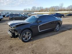 Dodge Charger salvage cars for sale: 2013 Dodge Charger R/T