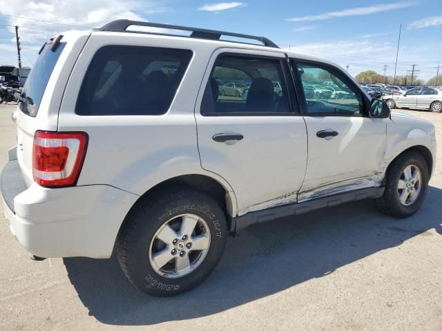 2010 Ford Escape XLT