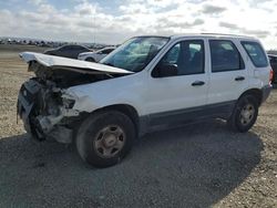 Salvage cars for sale at San Diego, CA auction: 2003 Ford Escape XLS