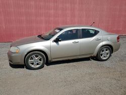 Dodge salvage cars for sale: 2008 Dodge Avenger SXT