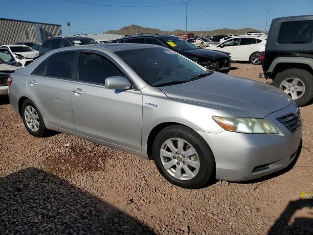 2009 Toyota Camry Hybrid