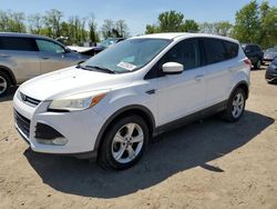 Salvage cars for sale at Baltimore, MD auction: 2013 Ford Escape SE