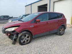 Ford salvage cars for sale: 2013 Ford Escape SE