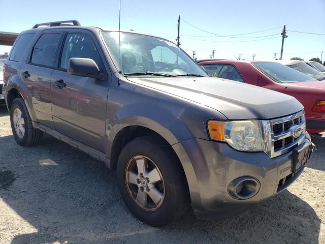 2010 Ford Escape XLS