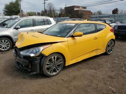 Salvage cars for sale at New Britain, CT auction: 2013 Hyundai Veloster