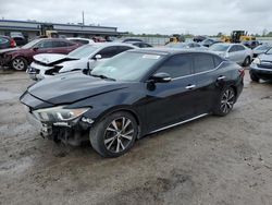 Salvage cars for sale at Harleyville, SC auction: 2016 Nissan Maxima 3.5S