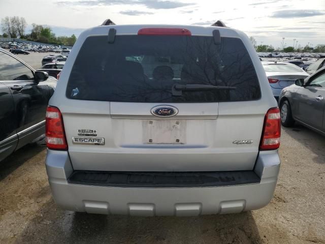 2008 Ford Escape XLT