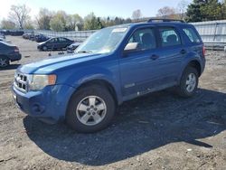 Salvage cars for sale from Copart Grantville, PA: 2008 Ford Escape XLS