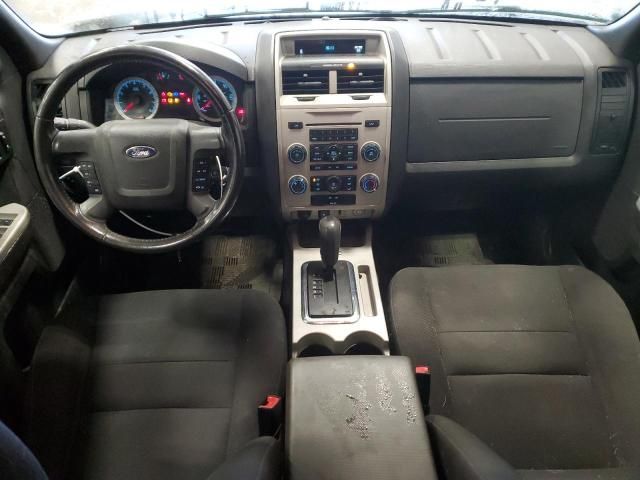 2009 Ford Escape XLT