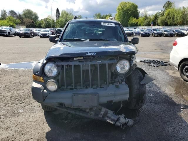 2005 Jeep Liberty Renegade