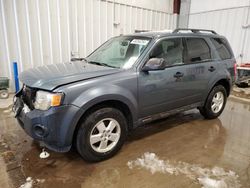 Ford Escape XLT salvage cars for sale: 2011 Ford Escape XLT