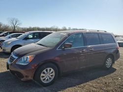 Honda salvage cars for sale: 2008 Honda Odyssey EXL