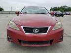 2011 Lexus IS 250