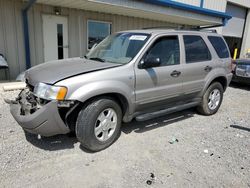 Ford Escape xlt salvage cars for sale: 2001 Ford Escape XLT