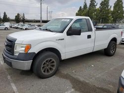 Salvage trucks for sale at Rancho Cucamonga, CA auction: 2013 Ford F150
