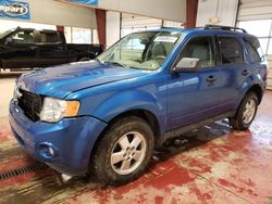 2011 Ford Escape XLT for sale in Angola, NY