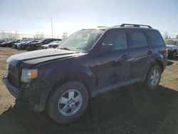 Salvage cars for sale from Copart Rocky View County, AB: 2012 Ford Escape XLT
