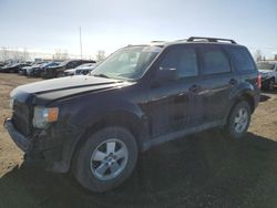 Ford Escape salvage cars for sale: 2012 Ford Escape XLT