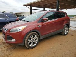 Salvage cars for sale from Copart Tanner, AL: 2014 Ford Escape Titanium