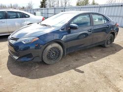 Salvage cars for sale from Copart Ontario Auction, ON: 2018 Toyota Corolla L
