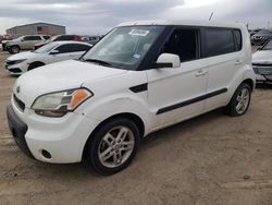 Salvage cars for sale from Copart Amarillo, TX: 2011 KIA Soul +