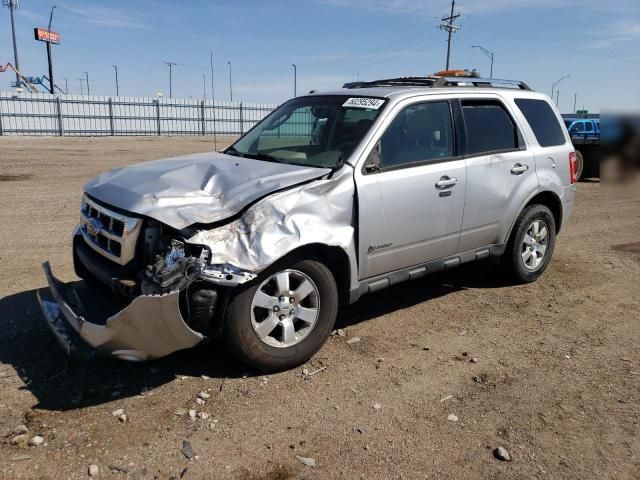 2010 Ford Escape Hybrid