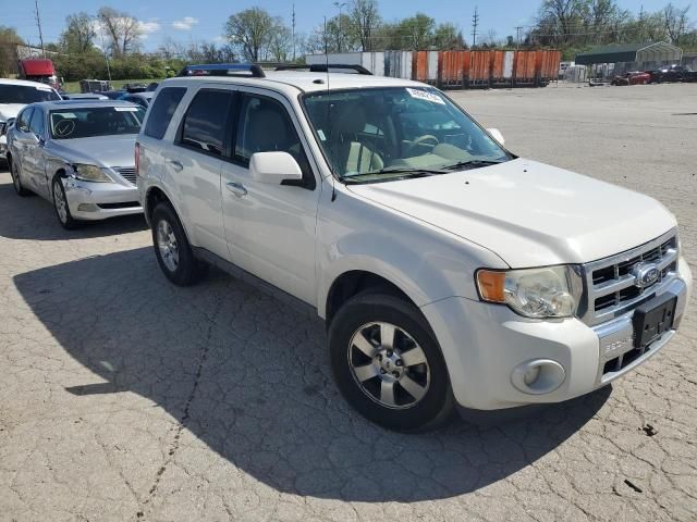 2011 Ford Escape Limited