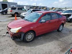 Ford salvage cars for sale: 2010 Ford Focus SE