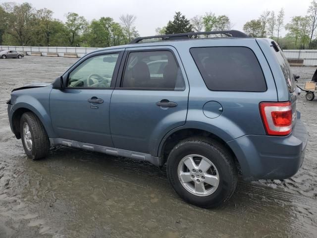 2010 Ford Escape XLT