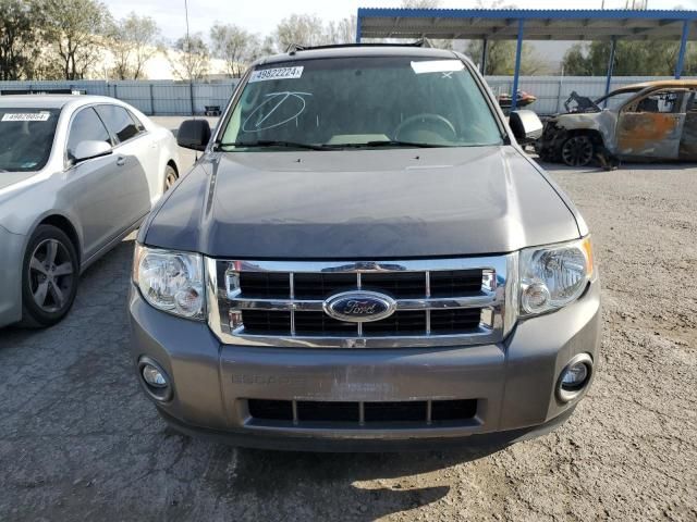 2009 Ford Escape XLT