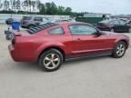 2005 Ford Mustang