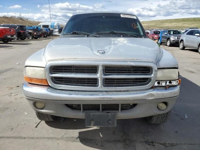 2000 Dodge Dakota