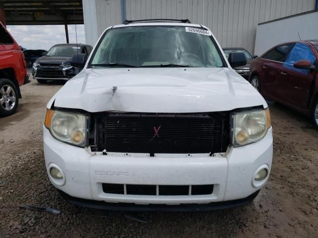 2010 Ford Escape XLT